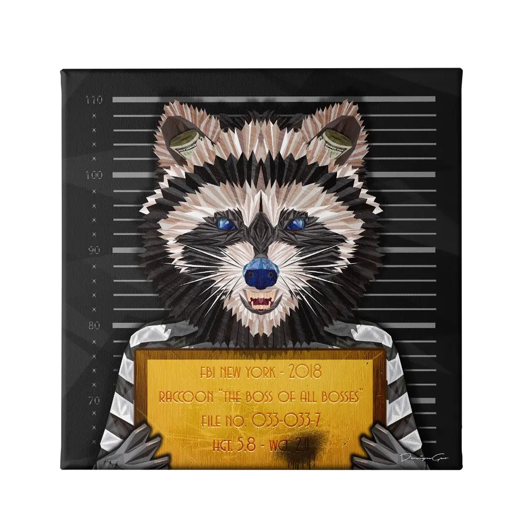 The Raccoon Canvas Wall Art