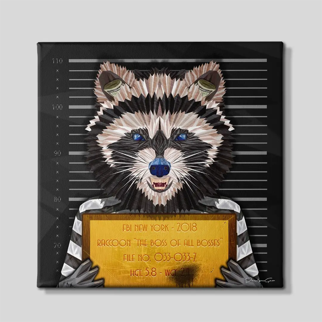 The Raccoon Canvas Wall Art