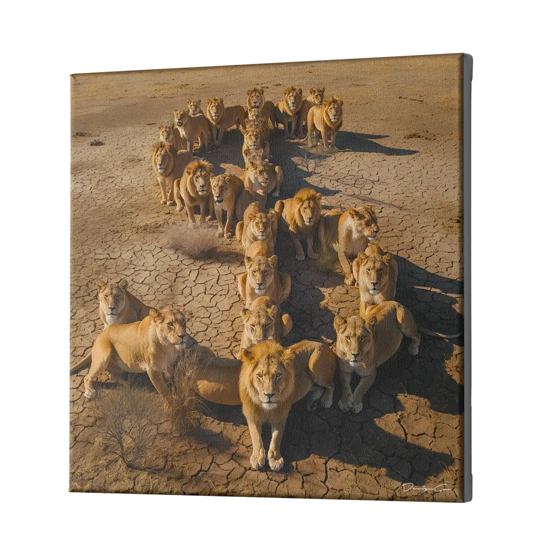 Animal Ambition Canvas Wall Art