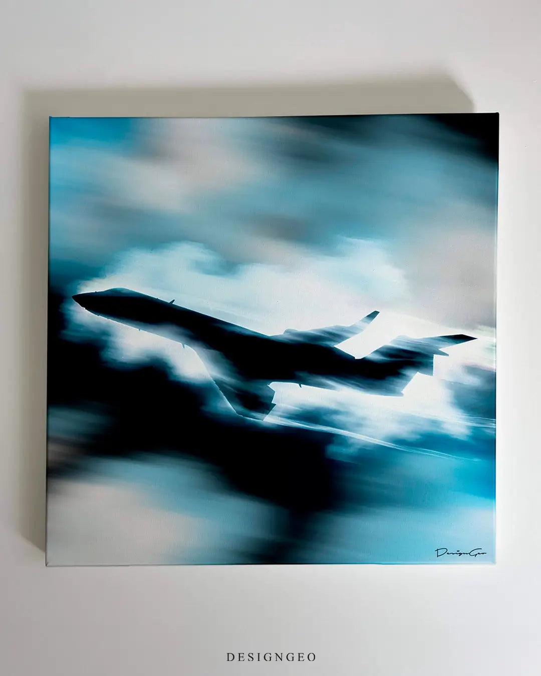 Private Skies Canvas Wall Art