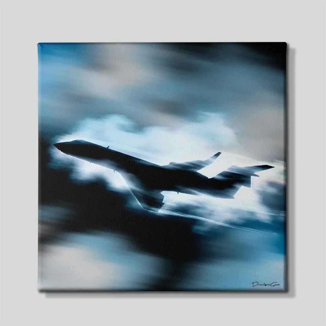 Private Skies Canvas Wall Art