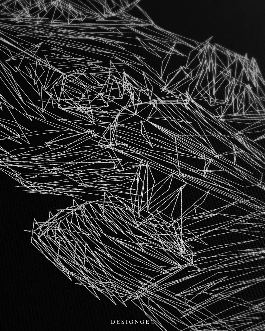 Detailed view of the Racing Car canvas art, showcasing the clean white anatomical lines, open-wheel symmetry, and high-contrast premium print finish against a dark texture
