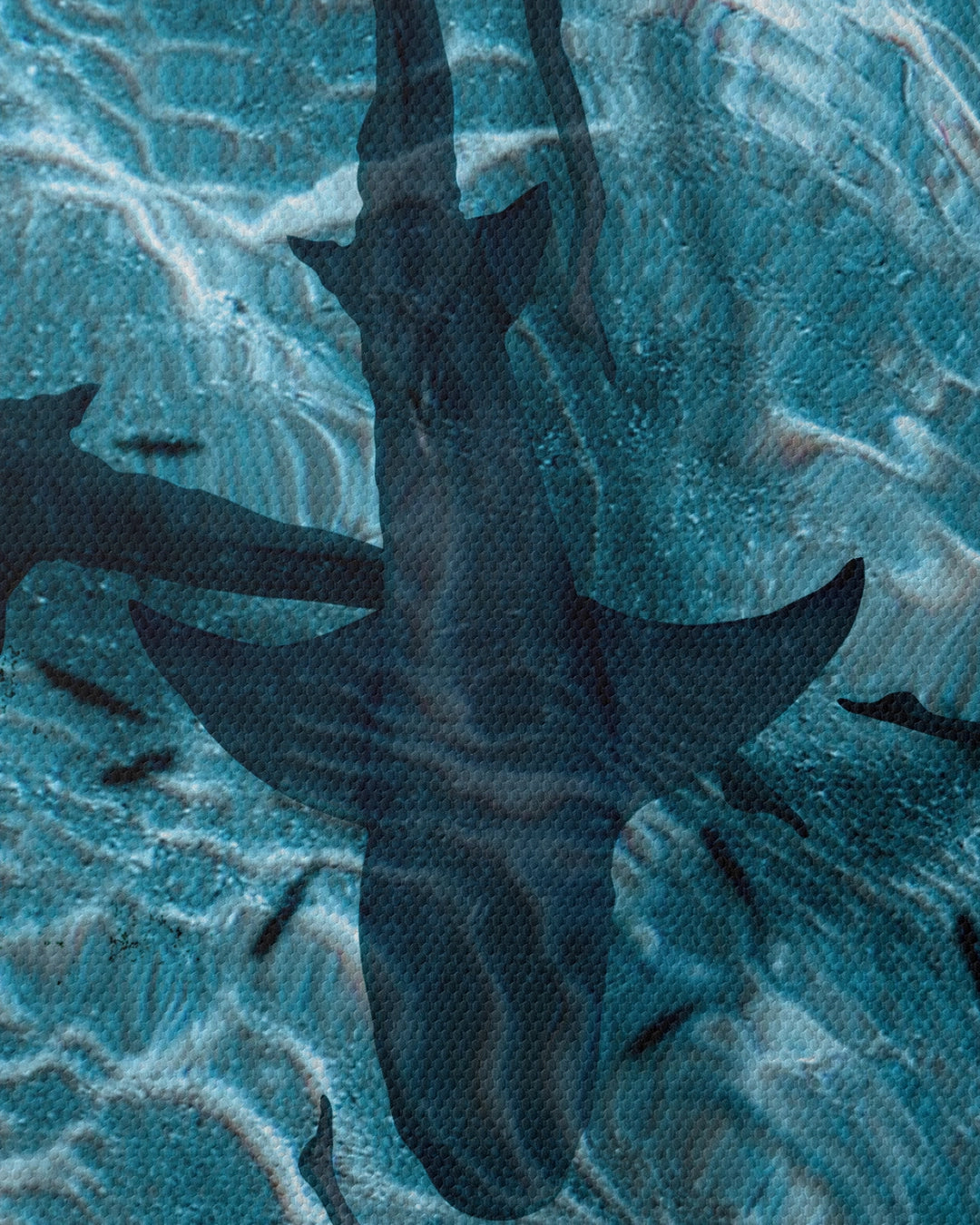 Shark Art