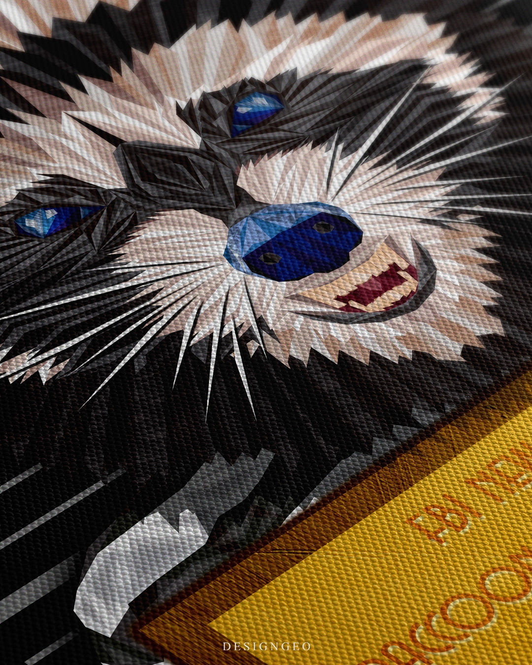 The Raccoon Art