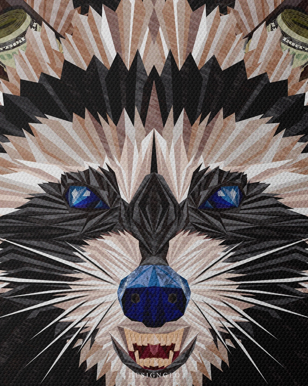 The Raccoon Art